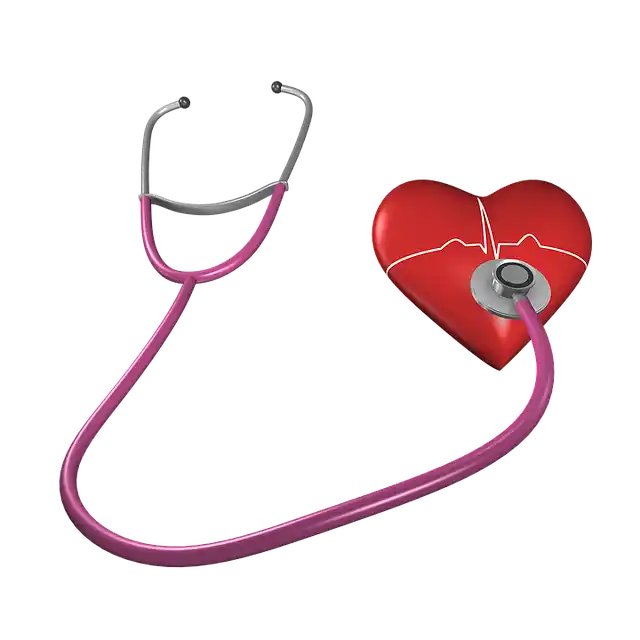 24h EKG